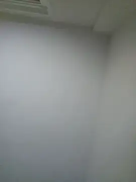 polla calientes47 online show from November 21, 2025, 9:41 am