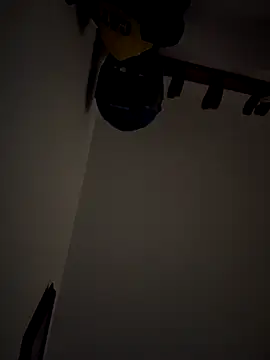 Snapshot of Kylie2211 chatting on December 15, 2025, 11:49 am Kylie2211 online show from December 15, 2025, 11:49 am