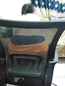 Adiba 2 online show from November 1, 2025, 6:24 pm