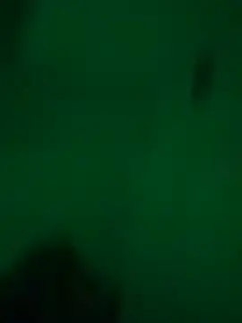 Snapshot of greedybratt chatting on December 23, 2024, 5:39 am greedybratt online show from December 23, 2024, 5:39 am