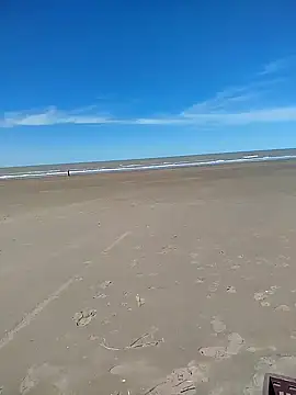 Zorrita Fox online show from October 7, 2025, 4:41 pm