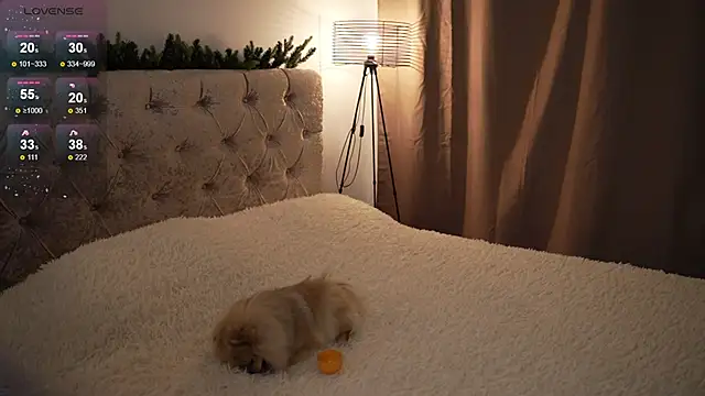 Snapshot of LindaWarners chatting on February 9, 2025, 6:47 pm LindaWarners online show from February 9, 2025, 6:47 pm