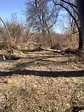 Boysex227 online show from March 8, 2025, 8:11 am