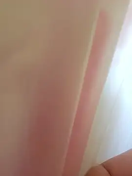 realhorsecock online show from February 23, 2025, 5:29 pm