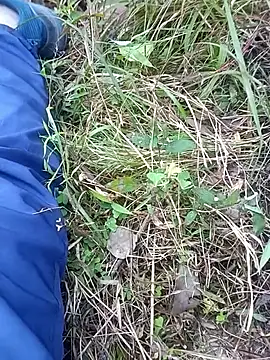 Snapshot of Nkumar173 chatting on November 6, 2025, 6:17 am Nkumar173 online show from November 6, 2025, 6:17 am