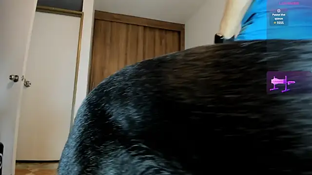 Snapshot of male_pussy chatting on February 27, 2025, 10:31 pm male pussy online show from February 27, 2025, 10:31 pm