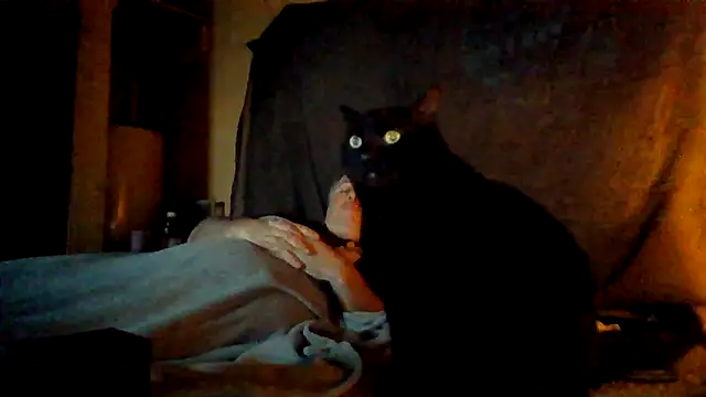 Nightshade7712 online show from November 6, 2025, 9:41 pm