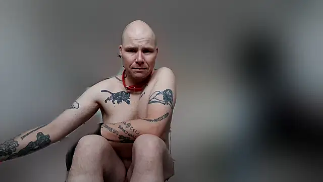 gaywolf426 online show from February 19, 2026, 8:33 am