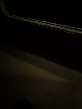 Armyexhibitionistvet online show from November 13, 2025, 4:22 pm