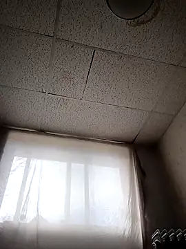 Armyexhibitionistvet online show from April 3, 2026, 5:52 pm