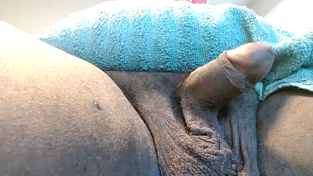 Snapshot of TerrificNerve49 chatting on October 9, 2025, 7:47 pm TerrificNerve49 online show from October 9, 2025, 7:47 pm