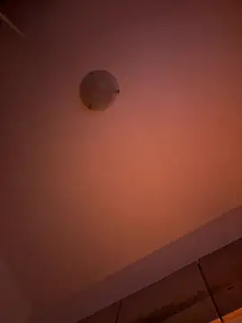 Sashabunny online show from February 12, 2026, 8:08 pm