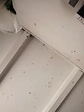 Snapshot of Giselabrunette25 chatting on December 15, 2025, 2:45 pm Giselabrunette25 online show from December 15, 2025, 2:45 pm