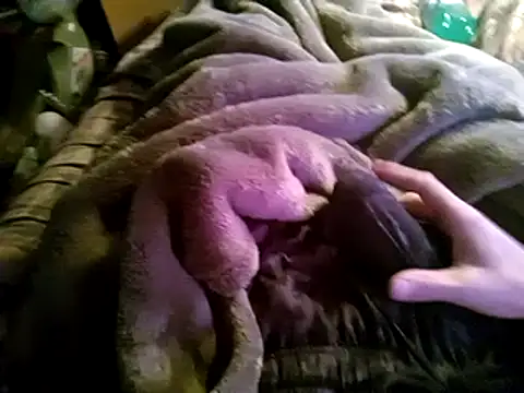 hothippie420 online show from March 12, 2025, 4:24 pm