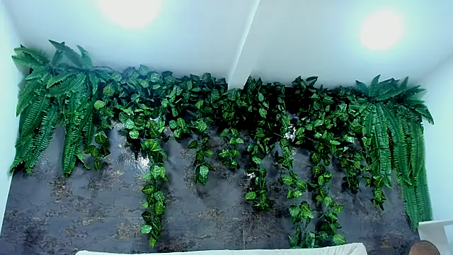 alice greco online show from November 24, 2025, 5:02 pm