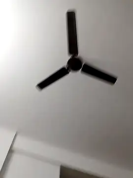 Camieon dre online show from October 28, 2025, 6:12 am