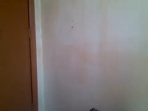  mscassie online show from January 17, 2026, 1:04 pm