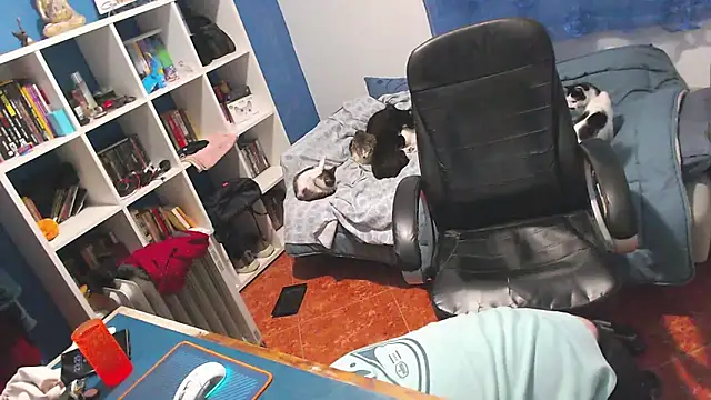 Snapshot of ravingr4d4 chatting on February 2, 2026, 11:26 pm ravingr4d4 online show from February 2, 2026, 11:26 pm