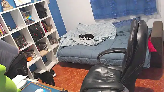 Snapshot of ravingr4d4 chatting on February 19, 2026, 12:18 am ravingr4d4 online show from February 19, 2026, 12:18 am