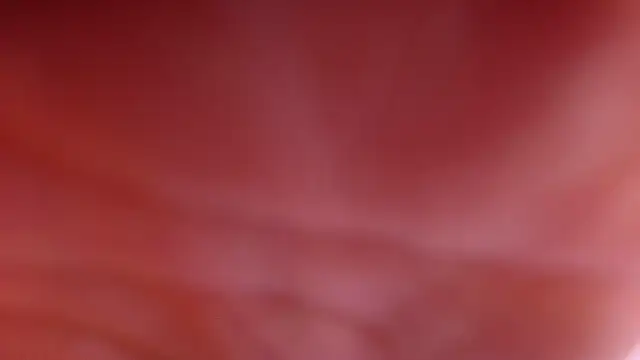 violett lo online show from February 28, 2026, 3:06 am