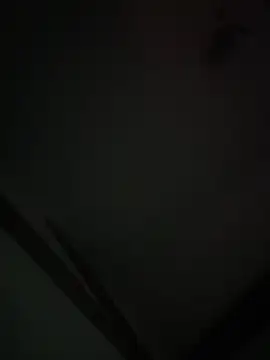 Xcum28 online show from February 2, 2025, 12:02 pm