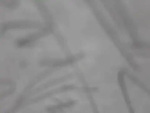 Snapshot of shikokichi55 chatting on March 3, 2025, 3:00 pm shikokichi55 online show from March 3, 2025, 3:00 pm