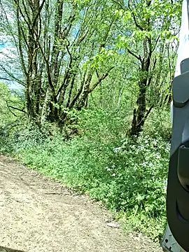 pachapeter online show from April 16, 2026, 1:12 pm