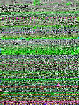 Snapshot of perolanegra22 chatting on December 16, 2024, 3:19 am perolanegra22 online show from December 16, 2024, 3:19 am