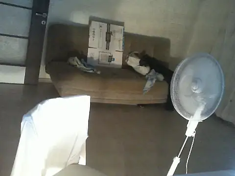 Snapshot of thekeys chatting on July 12, 2026, 9:04 pm thekeys online show from July 12, 2026, 9:04 pm