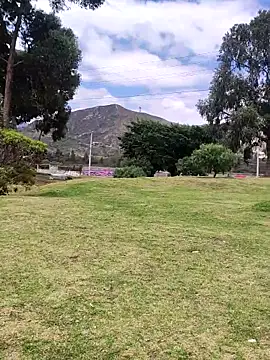 Wanda and cosmo  online show from February 26, 2025, 3:32 pm