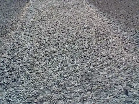 Snapshot of LongDickLance chatting on February 24, 2026, 2:01 am LongDickLance online show from February 24, 2026, 2:01 am