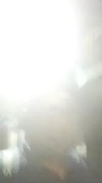 Snapshot of ssamit0808 chatting on February 10, 2025, 7:17 pm ssamit0808 online show from February 10, 2025, 7:17 pm