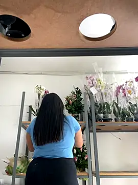 PUSHYLATE online show from November 29, 2025, 1:55 pm