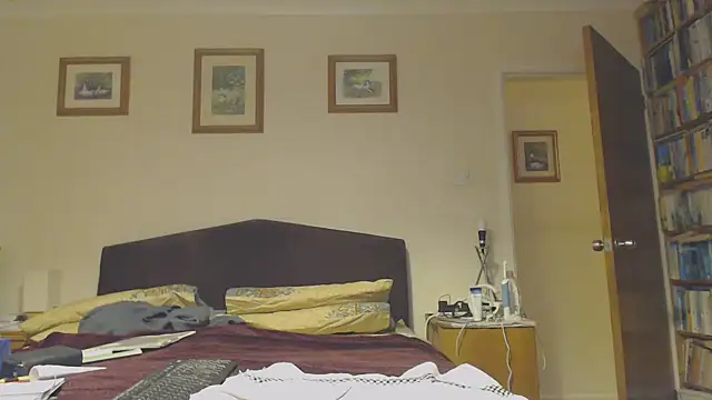 WaverlyKernow online show from January 29, 2025, 8:25 pm