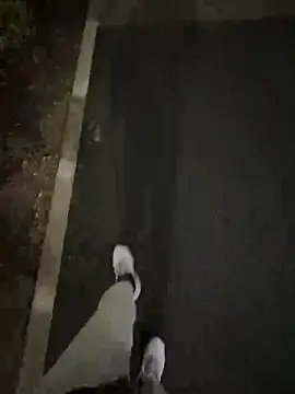 Snapshot of Tkcqcc chatting on February 15, 2026, 9:30 am Tkcqcc online show from February 15, 2026, 9:30 am