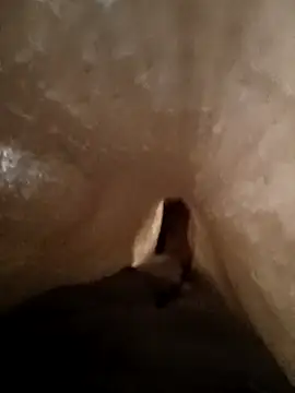 Shivaa- online show from March 21, 2026, 8:19 am