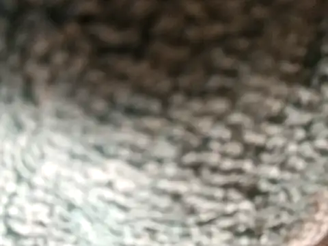 Snapshot of Amarok39 chatting on December 16, 2025, 3:05 pm Amarok39 online show from December 16, 2025, 3:05 pm