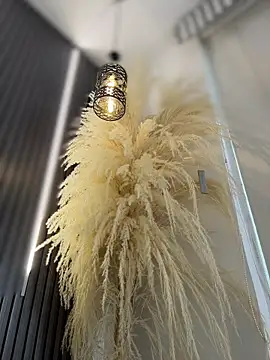 Rose-euphoria online show from February 13, 2026, 9:04 pm