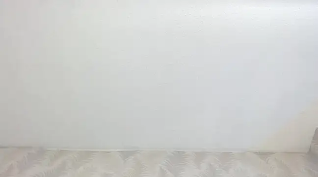 Snapshot of KasandraPhillips chatting on February 13, 2025, 10:33 pm KasandraPhillips online show from February 13, 2025, 10:33 pm