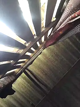 HotSexyBoudi online show from September 28, 2025, 9:16 am