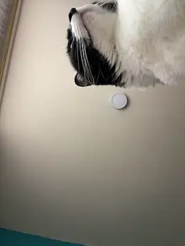 Kimmymadison- online show from January 15, 2026, 9:07 pm