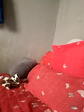 Snapshot of Petrossa chatting on January 13, 2026, 11:47 am Petrossa online show from January 13, 2026, 11:47 am