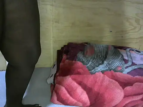 AFRICAN ASS001 online show from June 30, 2026, 5:29 am