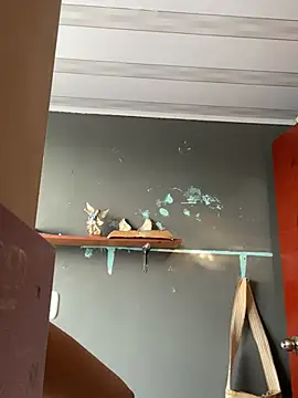 Snapshot of AnithaFigueroa1 chatting on January 23, 2025, 12:52 pm AnithaFigueroa1 online show from January 23, 2025, 12:52 pm