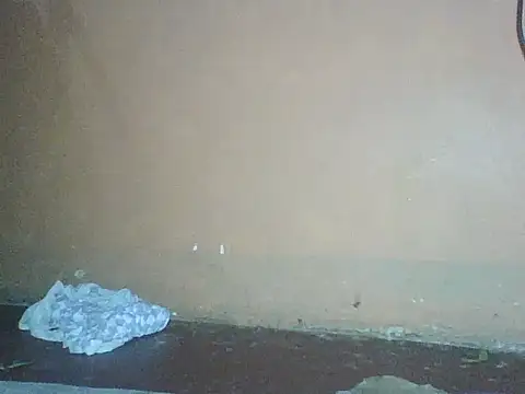 Naivegirrl online show from December 2, 2025, 10:33 pm