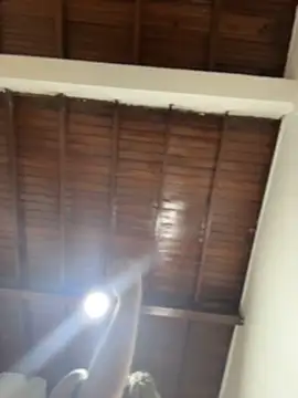 emiss  online show from December 16, 2025, 4:22 pm