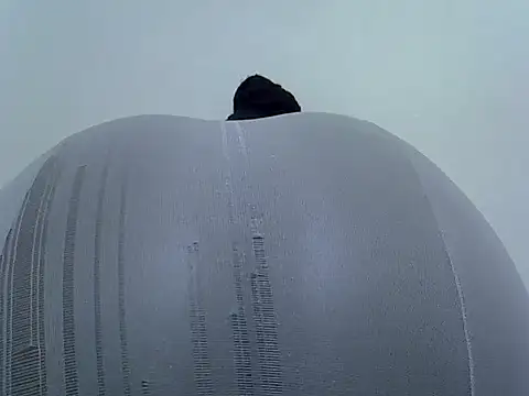 doctor deee online show from February 28, 2026, 4:06 pm