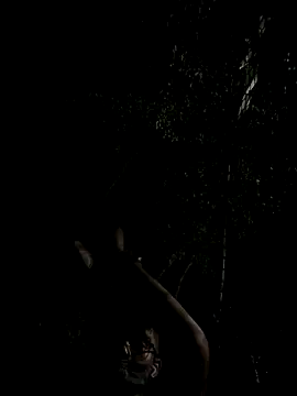 Snapshot of mumuowl chatting on September 20, 2025, 5:29 pm mumuowl online show from September 20, 2025, 5:29 pm