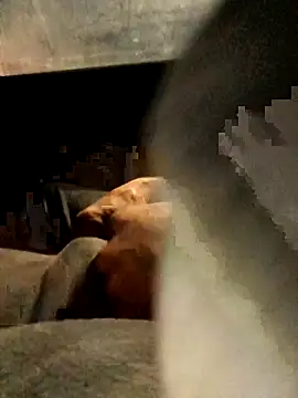 Snapshot of xWhoreAbleX_Pika chatting on March 6, 2025, 12:43 am xWhoreAbleX Pika online show from March 6, 2025, 12:43 am