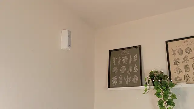 memphiswilliam online show from February 17, 2026, 4:21 am